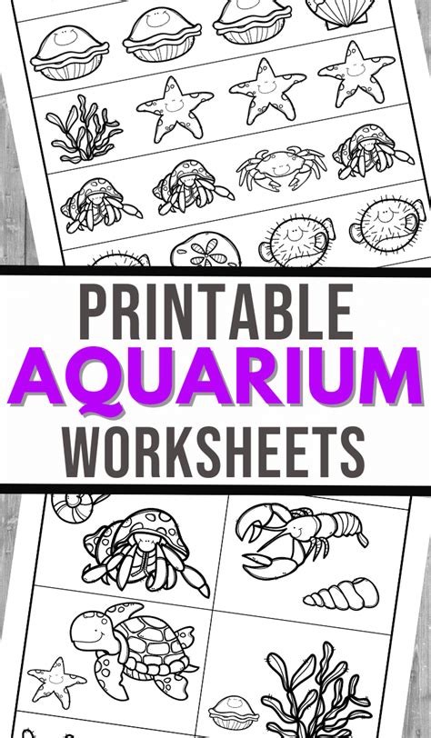baltimore aquarium worksheets